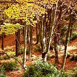 シャレー La Torre D' Espinalbet Castellar del Riu