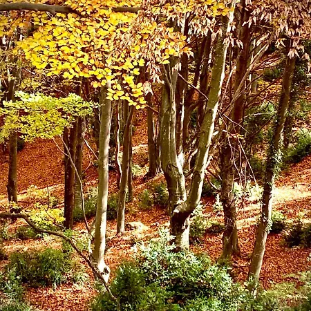 Domek alpejski La Torre D' Espinalbet Castellar del Riu